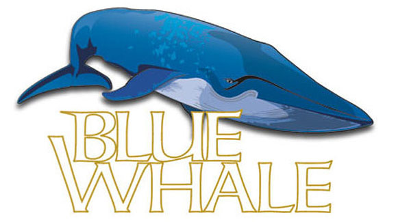 bluewhale